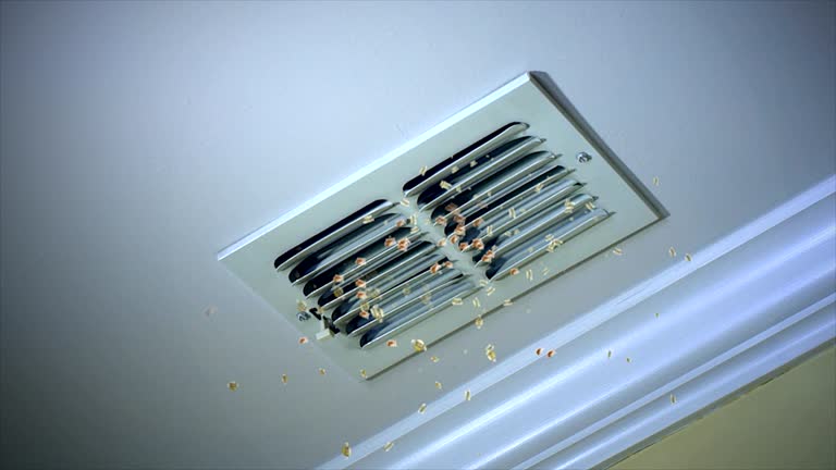 Best Air Duct Mold Removal  in Marillo, CA