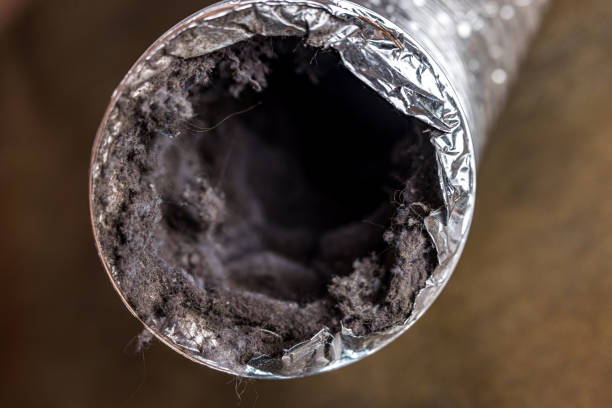 Best Air Vent Cleaning Services  in Marillo, CA