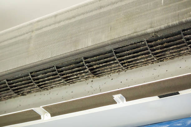 Best Air Duct Cleaning Near Me  in Marillo, CA